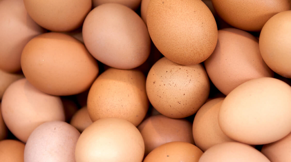 Egg fast